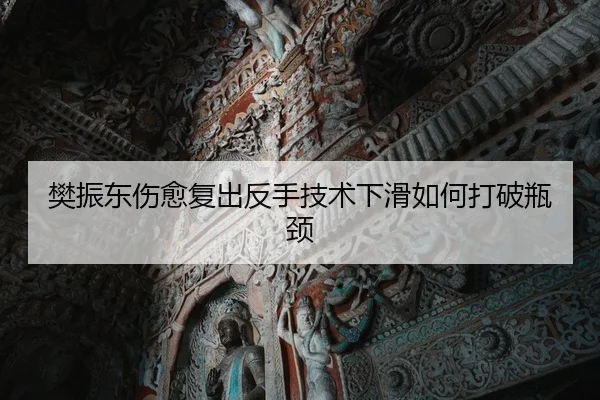 樊振东伤愈复出反手技术下滑如何打破瓶颈